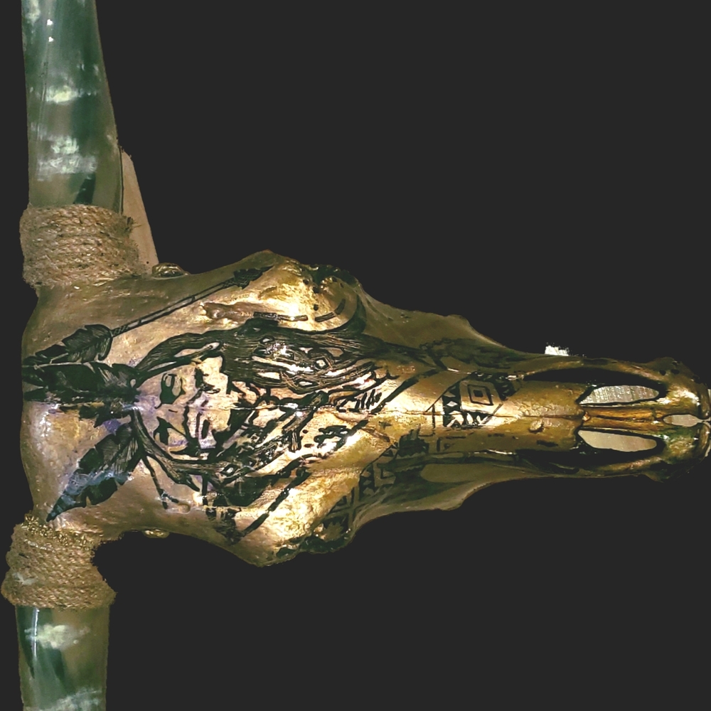 Authentic bull skull